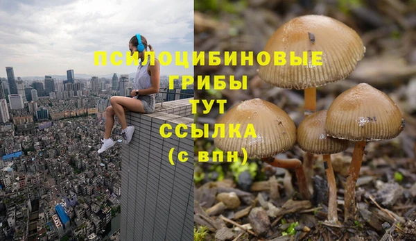 PSILOCYBIN Балахна