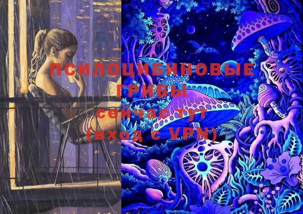 PSILOCYBIN Балахна