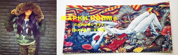 PSILOCYBIN Балахна