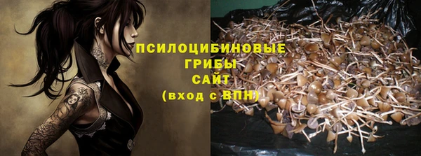 PSILOCYBIN Балахна