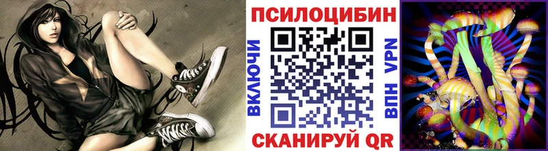 Галлюциногенные грибы Psilocybine cubensis  МЕГА ТОР  Гороховец  купить наркоту 